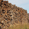 BOIS DE CHAUFFAGE – CHÂTAIGNIER – LONGUEUR 2M