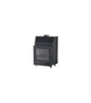 INSERT AQUAFLAMME 25KW Insert/Chaudière Régul. Auto
